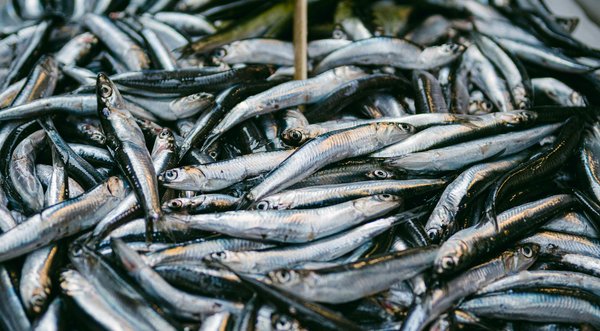 Quels sont les effets de la pratique de la méditation transcendante sur la réduction de l'anxiété et l'amélioration de la concentration?