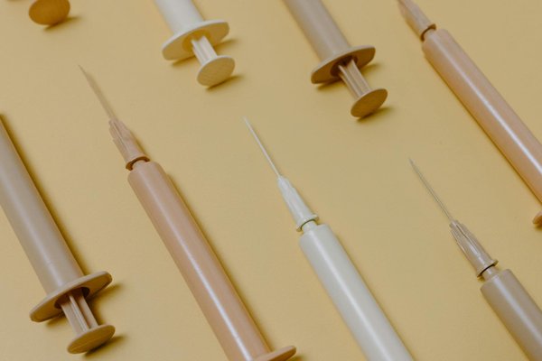 Comment la thérapie par les animaux peut-elle aider dans la rééducation des patients post-AVC ?