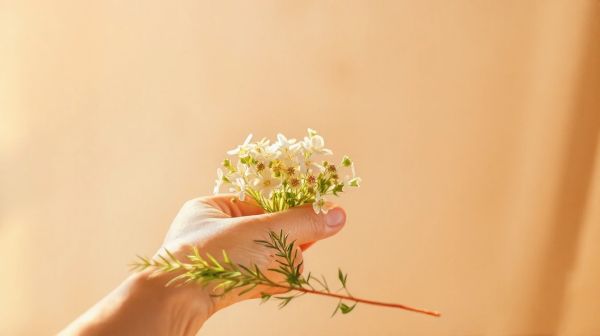 Guide des fleurs de CBD : usages, avantages et loi en France